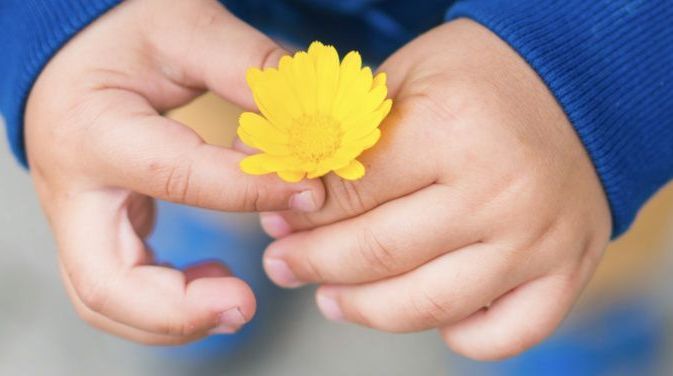 <p>Development a CRM solution for non-profit organization</p>